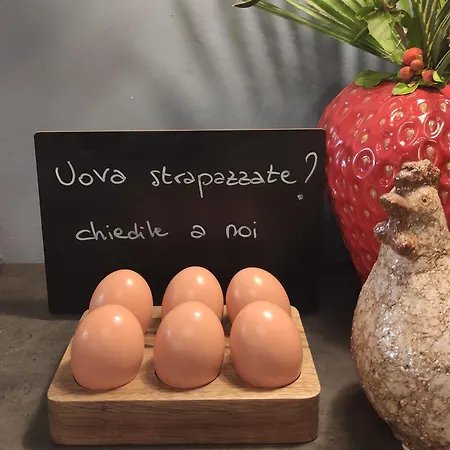 فندق مبيت وإفطار Al 28